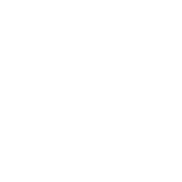 Custom Silk Curtains